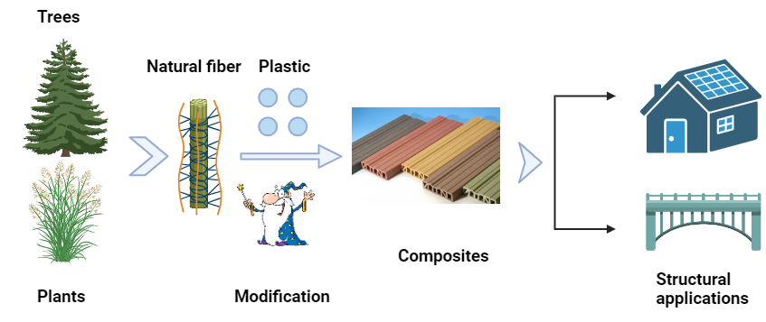 Depiction of a process to turn plants into strong composite construction materials